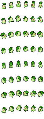 Chikorita